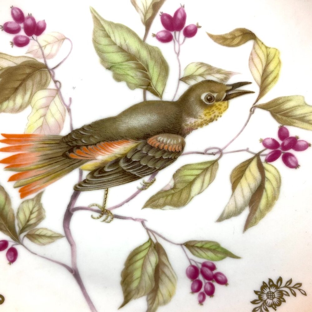 Set 2 Mitterteich Bavaria Germany 7.5" Decorative Bird Plates with Gold Accents - Picture 4 of 12